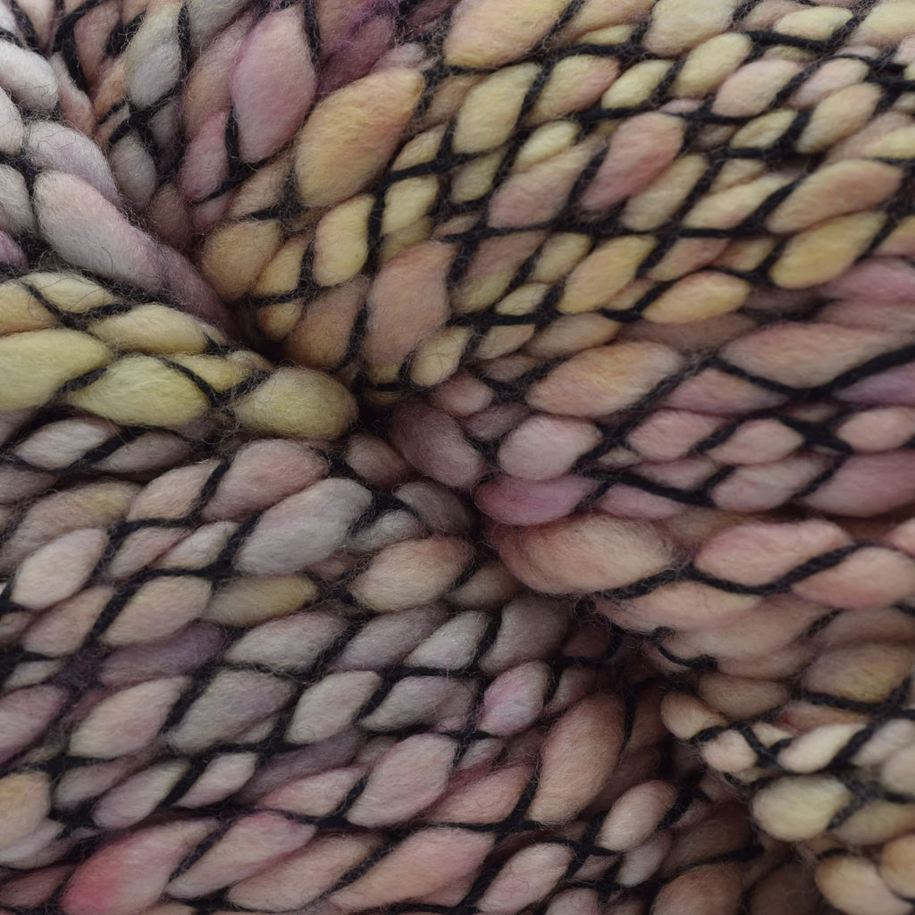 Malabrigo Caracol -90 - Guyunusa | Yarn at Michigan Fine Yarns