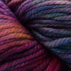 Malabrigo Chunky -5 - Aniversario | Yarn at Michigan Fine Yarns