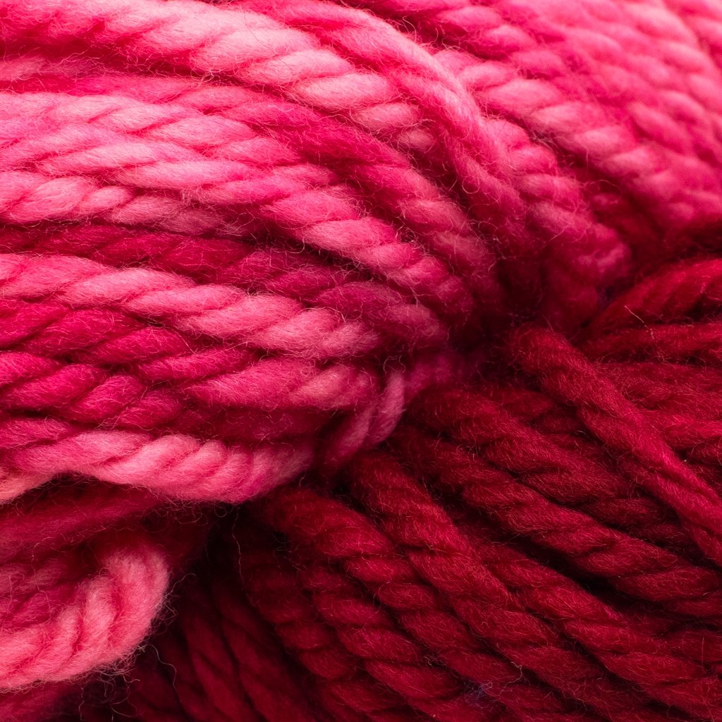 Malabrigo Chunky -61671466 | Yarn at Michigan Fine Yarns