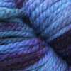 Malabrigo Chunky -61835306 | Yarn at Michigan Fine Yarns