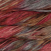 Malabrigo Chunky -62261290 | Yarn at Michigan Fine Yarns