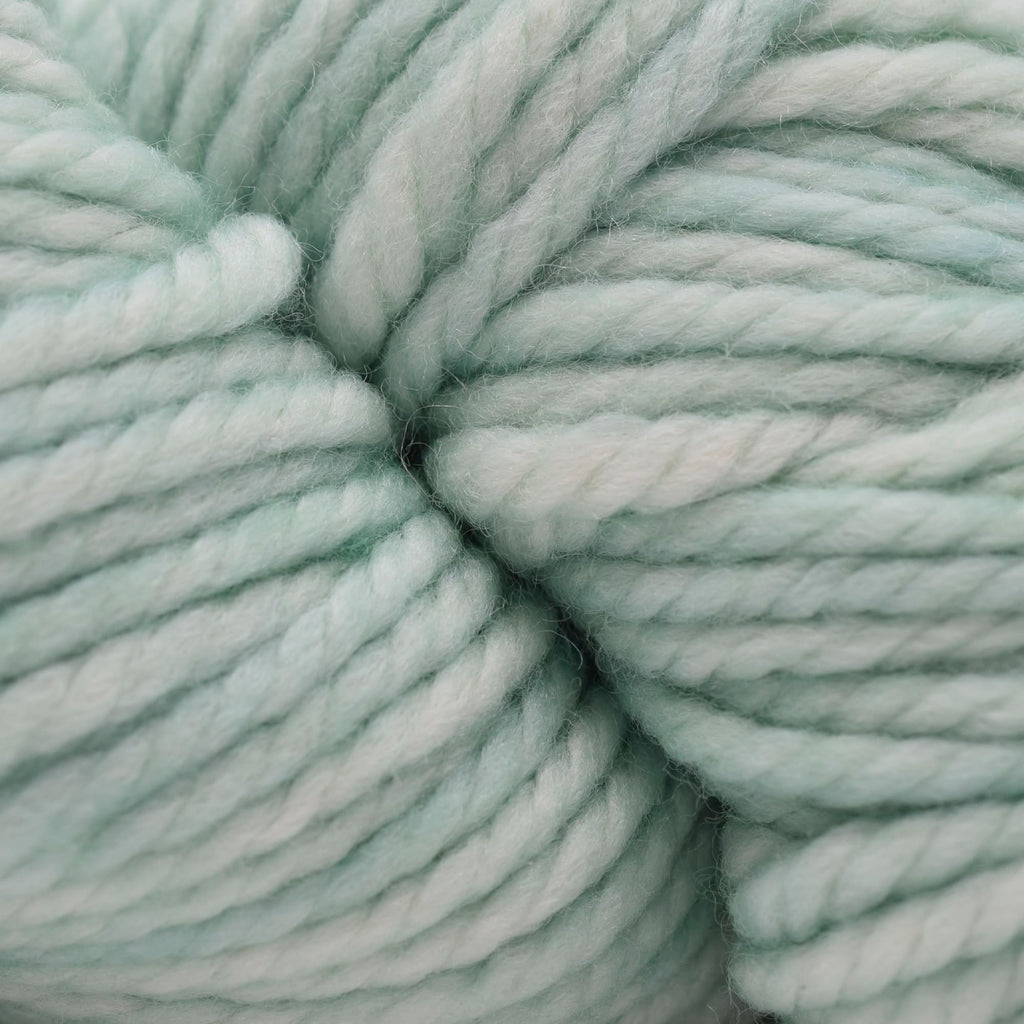 Malabrigo Chunky -83 - Water Green | Yarn at Michigan Fine Yarns