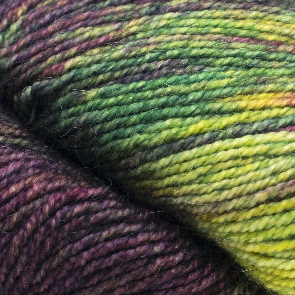 Malabrigo Dos Tierras -74909738 | Yarn at Michigan Fine Yarns