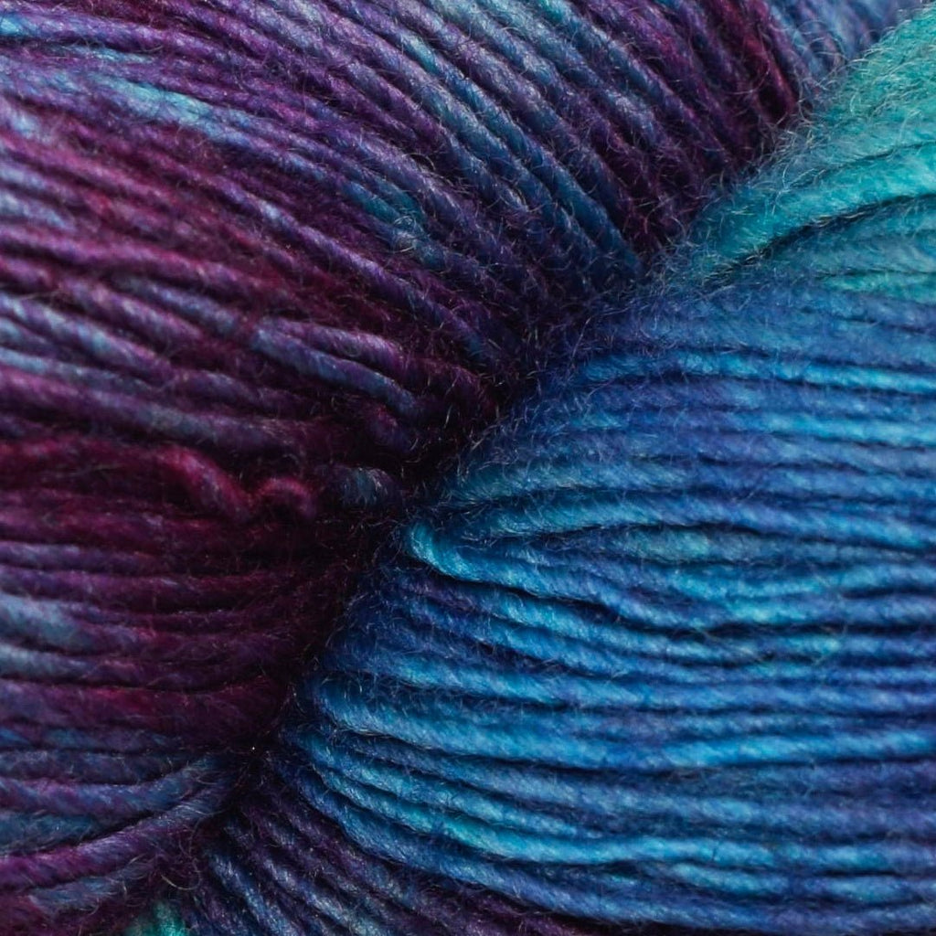 Malabrigo Lace -684 - Camaleon 55646506 | Yarn at Michigan Fine Yarns