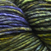 Malabrigo Mecha -880 - Hojas 71534634 | Yarn at Michigan Fine Yarns