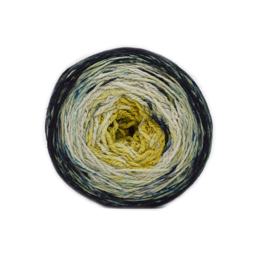 Malabrigo Metamorphosis Sock -317 - Sloth | Yarn at Michigan Fine Yarns