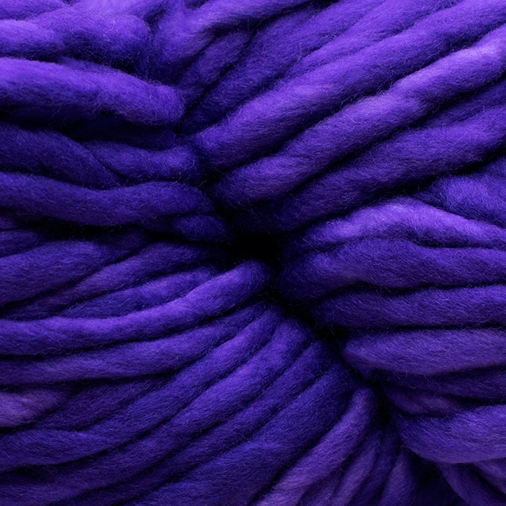 Malabrigo Rasta -193 - Jacinto 26534954 | Yarn at Michigan Fine Yarns