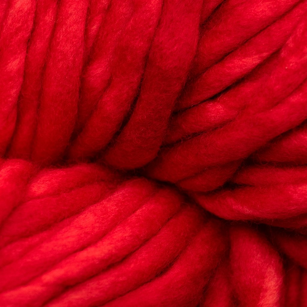 Malabrigo Rasta -416 - Indiecita 69994538 | Yarn at Michigan Fine Yarns