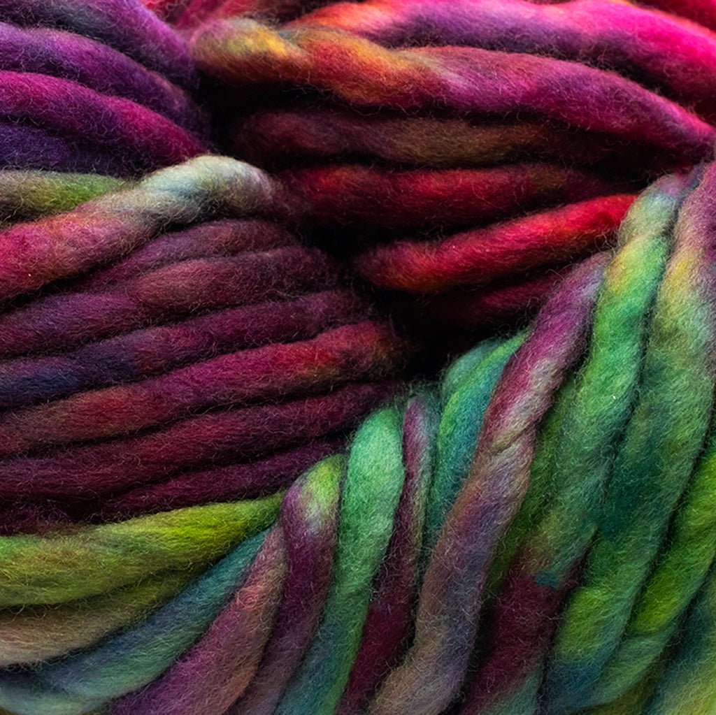 Malabrigo Rasta -5 - Aniversario 70387754 | Yarn at Michigan Fine Yarns