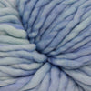 Malabrigo Rasta -687 - Aquamarine Rasta:RAS687 | Yarn at Michigan Fine Yarns