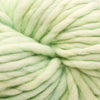 Malabrigo Rasta -708 - Cucumber 50870826 | Yarn at Michigan Fine Yarns