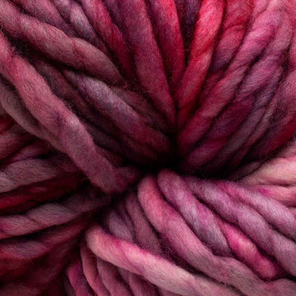 Malabrigo Rasta -864 - Porrinho 69634090 | Yarn at Michigan Fine Yarns