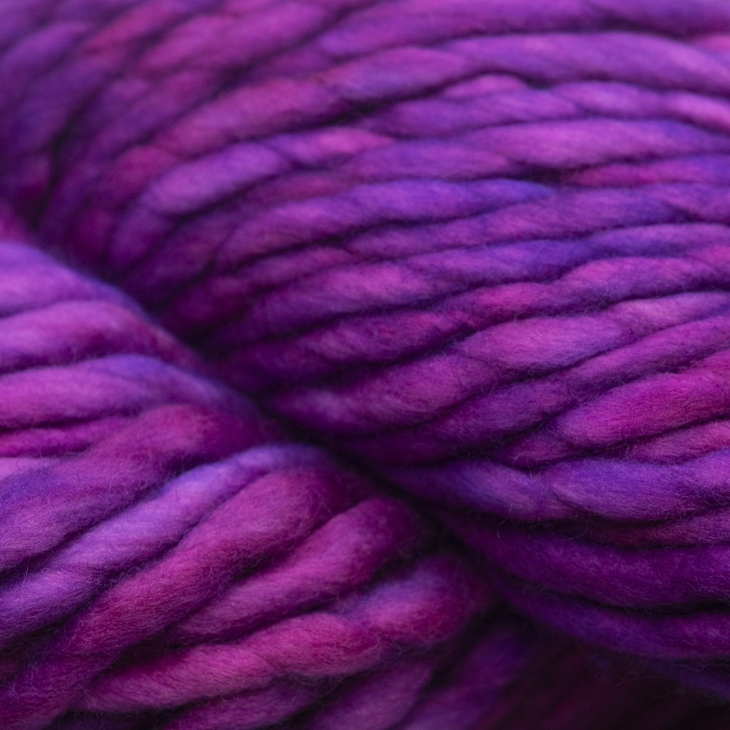 Malabrigo Rasta -865 - Baya Electrica 70191146 | Yarn at Michigan Fine Yarns