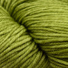 Malabrigo Rios -37 - Lettuce 64751658 | Yarn at Michigan Fine Yarns