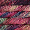Malabrigo Rios -5 - Aniversario RIO005 | Yarn at Michigan Fine Yarns