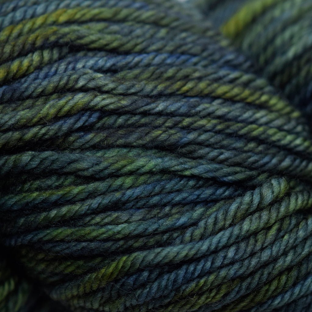 Malabrigo Rios -880 - Hojas 65505322 | Yarn at Michigan Fine Yarns