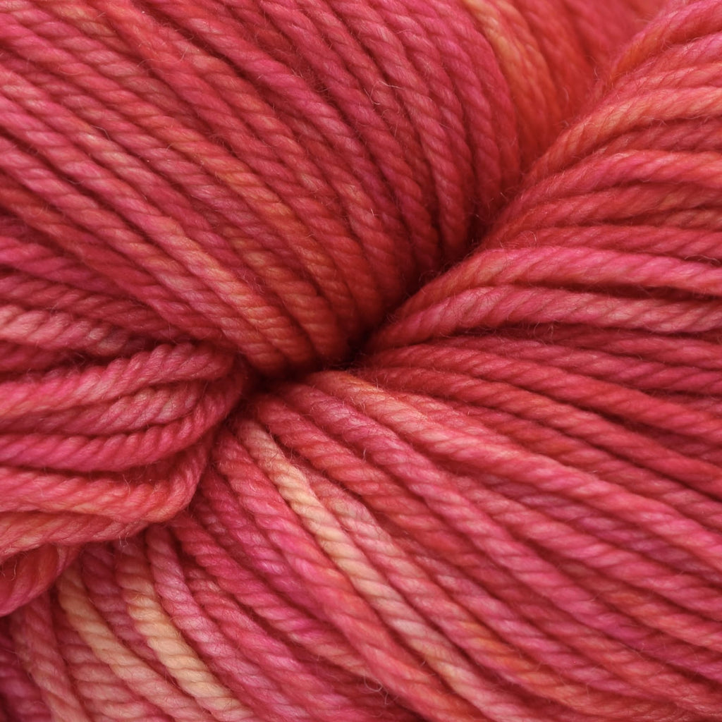 Malabrigo Rios Zodiac Collection (Limited Edition) -280 - Gemini | Yarn at Michigan Fine Yarns