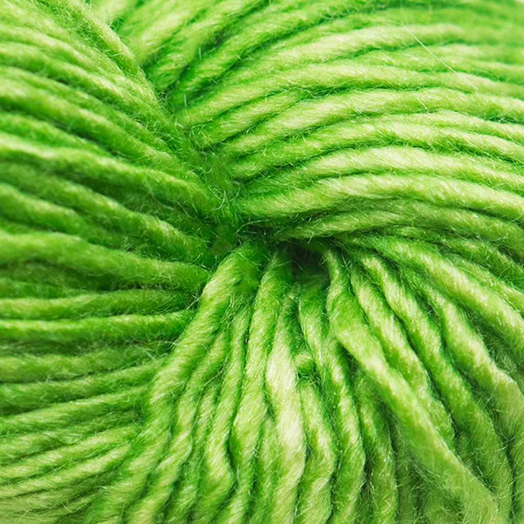 Malabrigo Silky Merino -409 - Dill 03220010 | Yarn at Michigan Fine Yarns