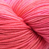 Malabrigo Sock -857 - Light of Love 68028458 | Yarn at Michigan Fine Yarns