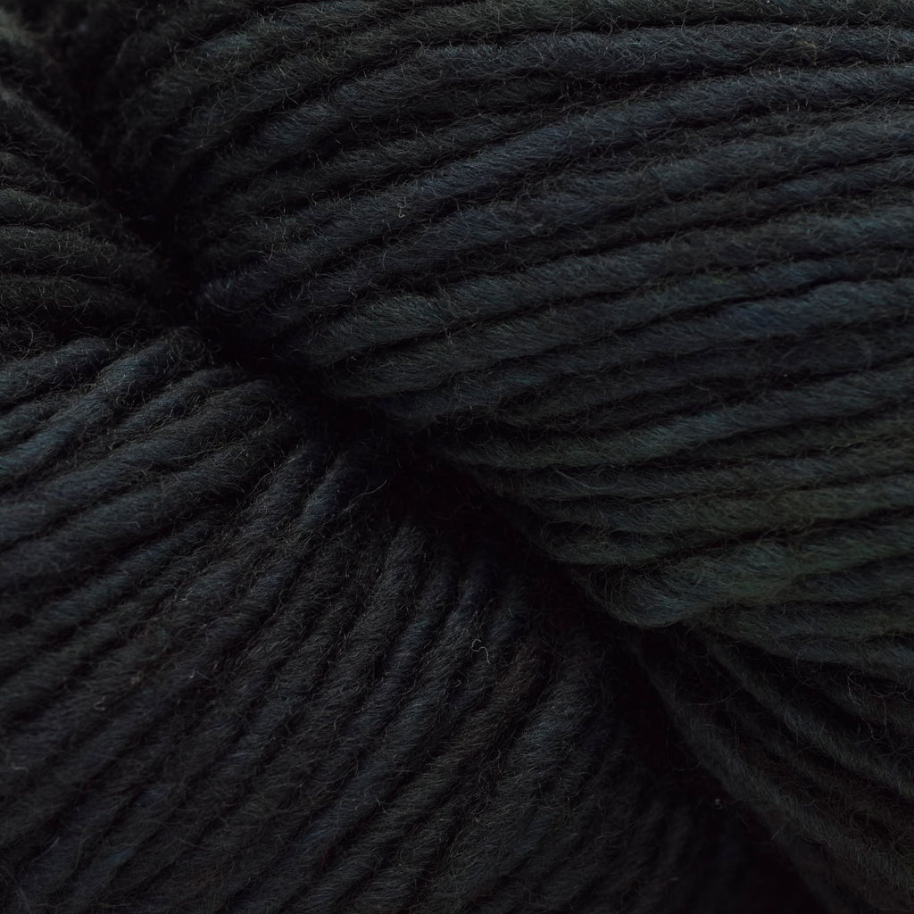 Malabrigo Worsted -51 - VAA | Yarn at Michigan Fine Yarns