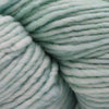 Malabrigo Worsted -83 - Water Green | Yarn at Michigan Fine Yarns