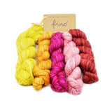 Fino Mini Skein Set