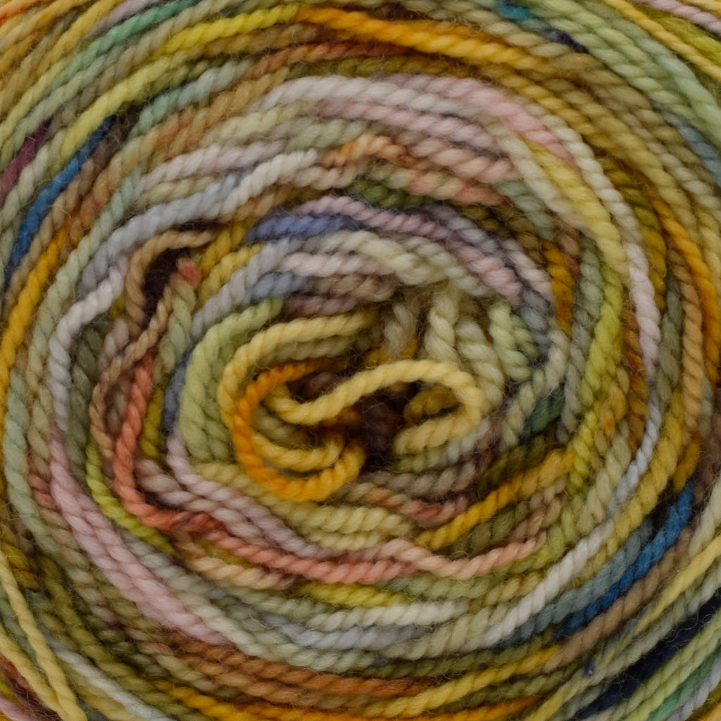 Michigan Fine Yarns Koigu Color Blast Cake -Sunny Day 100g 42109994 | Yarn at Michigan Fine Yarns