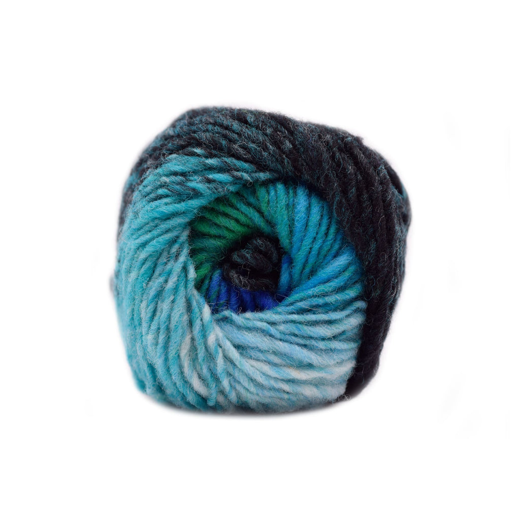 Noro Kureyon -429 - Hakusan 4547257039248 | Yarn at Michigan Fine Yarns