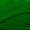 Plymouth Yarns Encore -843273001394 | Yarn at Michigan Fine Yarns