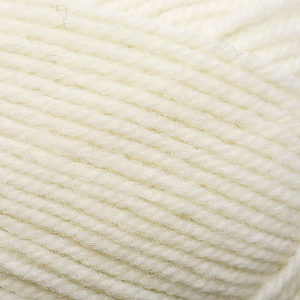 Plymouth Yarns Encore -843273001448 | Yarn at Michigan Fine Yarns