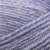 Plymouth Yarns Encore -843273001455 | Yarn at Michigan Fine Yarns