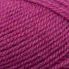 Plymouth Yarns Encore -843273001486 | Yarn at Michigan Fine Yarns