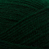 Plymouth Yarns Encore -843273001509 | Yarn at Michigan Fine Yarns