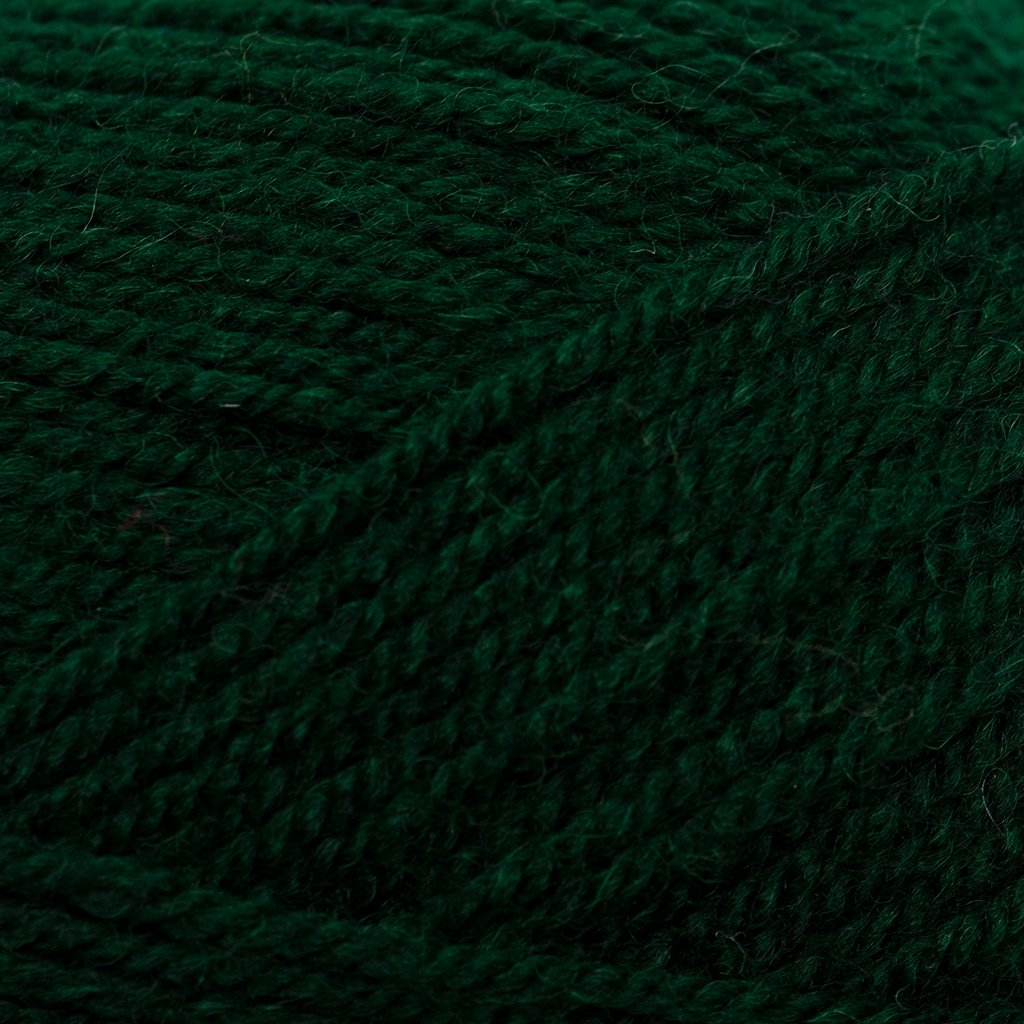 Plymouth Yarns Encore -843273001509 | Yarn at Michigan Fine Yarns