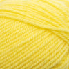 Plymouth Yarns Encore -843273001530 | Yarn at Michigan Fine Yarns