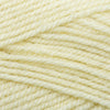 Plymouth Yarns Encore -843273001554 | Yarn at Michigan Fine Yarns