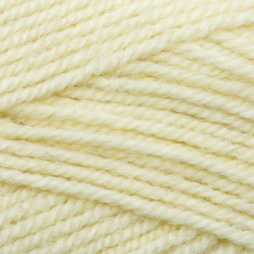 Plymouth Yarns Encore -843273001554 | Yarn at Michigan Fine Yarns