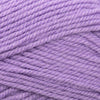 Plymouth Yarns Encore -843273001554 | Yarn at Michigan Fine Yarns