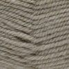 Plymouth Yarns Encore -843273001585 | Yarn at Michigan Fine Yarns