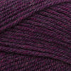 Plymouth Yarns Encore -843273001608 | Yarn at Michigan Fine Yarns