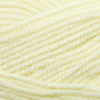 Plymouth Yarns Encore -843273001608 | Yarn at Michigan Fine Yarns