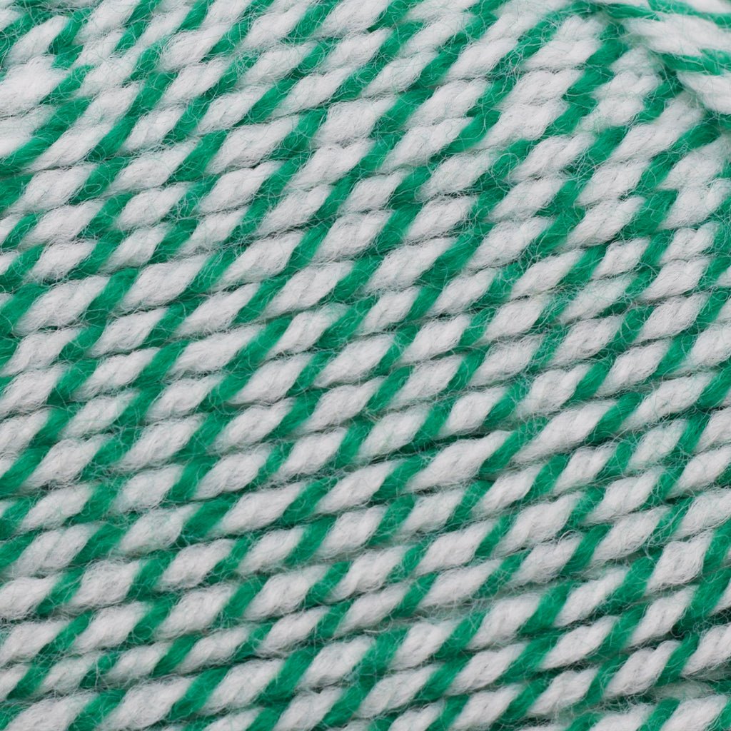 Plymouth Yarns Encore -843273001639 | Yarn at Michigan Fine Yarns
