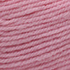 Plymouth Yarns Encore -843273001653 | Yarn at Michigan Fine Yarns