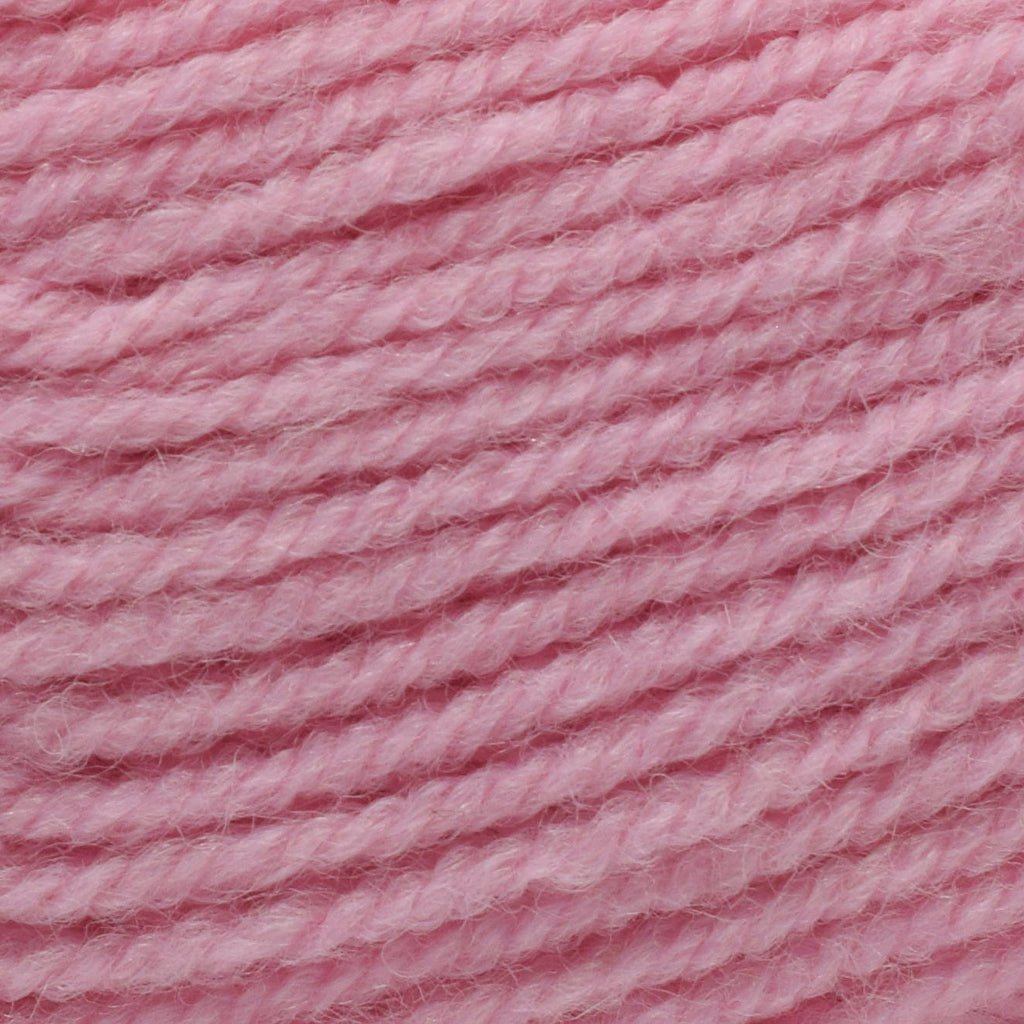 Plymouth Yarns Encore -843273001653 | Yarn at Michigan Fine Yarns
