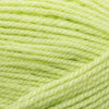 Plymouth Yarns Encore -843273001660 | Yarn at Michigan Fine Yarns