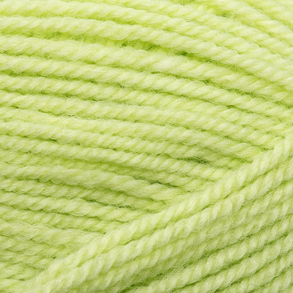 Plymouth Yarns Encore -843273001660 | Yarn at Michigan Fine Yarns