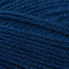 Plymouth Yarns Encore -843273001691 | Yarn at Michigan Fine Yarns