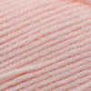 Plymouth Yarns Encore -843273001738 | Yarn at Michigan Fine Yarns
