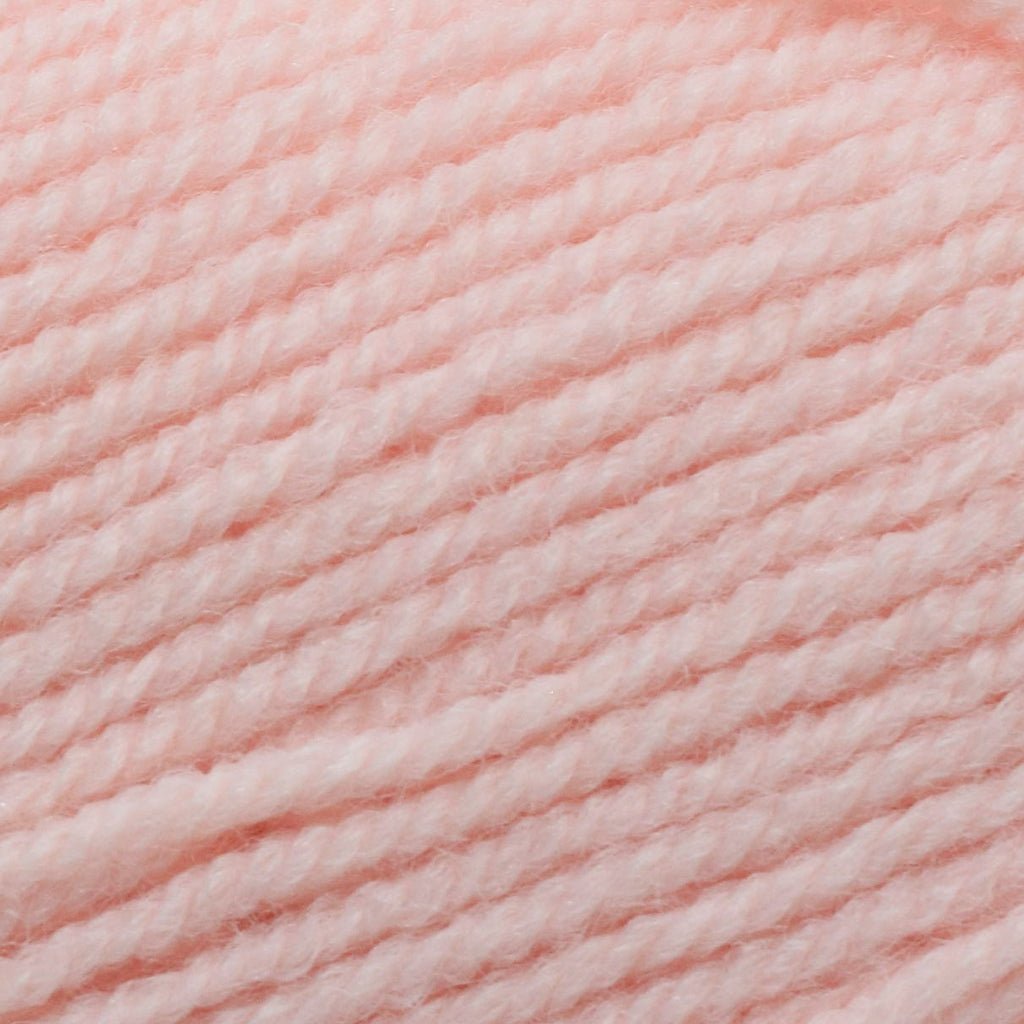 Plymouth Yarns Encore -843273001738 | Yarn at Michigan Fine Yarns