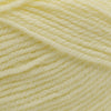 Plymouth Yarns Encore -843273001837 | Yarn at Michigan Fine Yarns